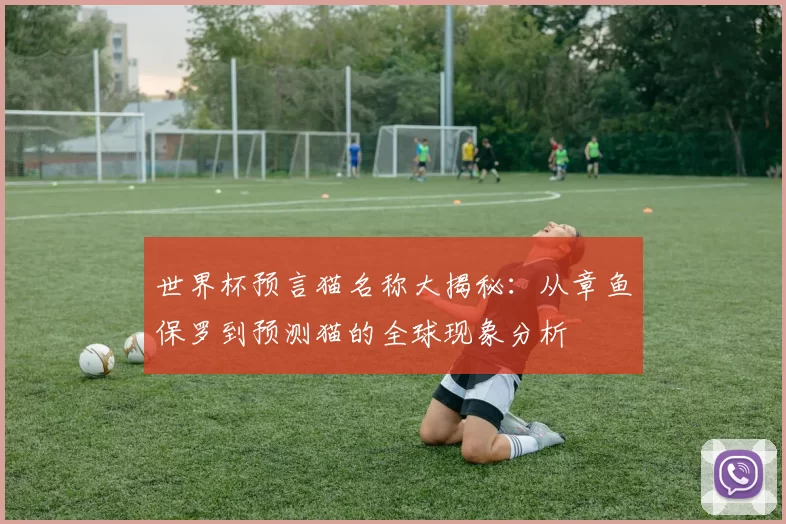 世界杯预言猫名称大揭秘：从章鱼保罗到预测猫的全球现象分析