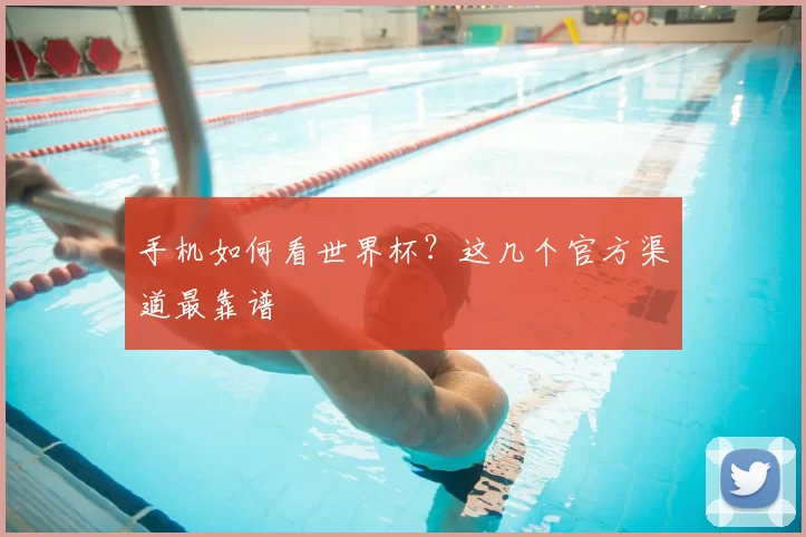 手机如何看世界杯？这几个官方渠道最靠谱