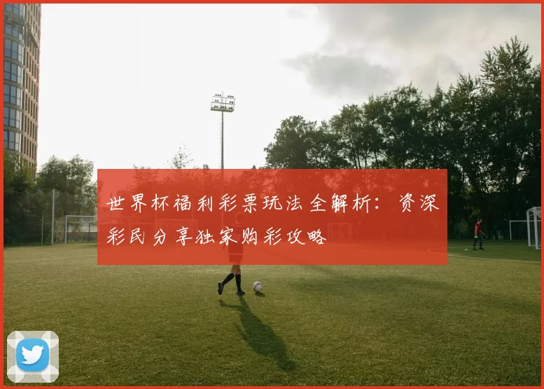 世界杯福利彩票玩法全解析：资深彩民分享独家购彩攻略