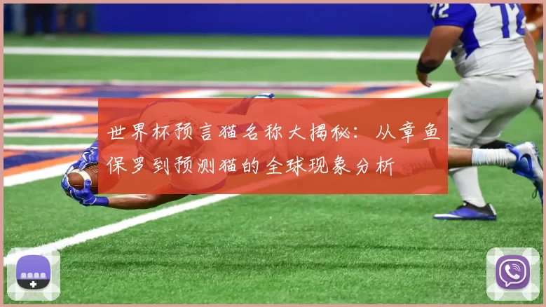 世界杯预言猫名称大揭秘：从章鱼保罗到预测猫的全球现象分析