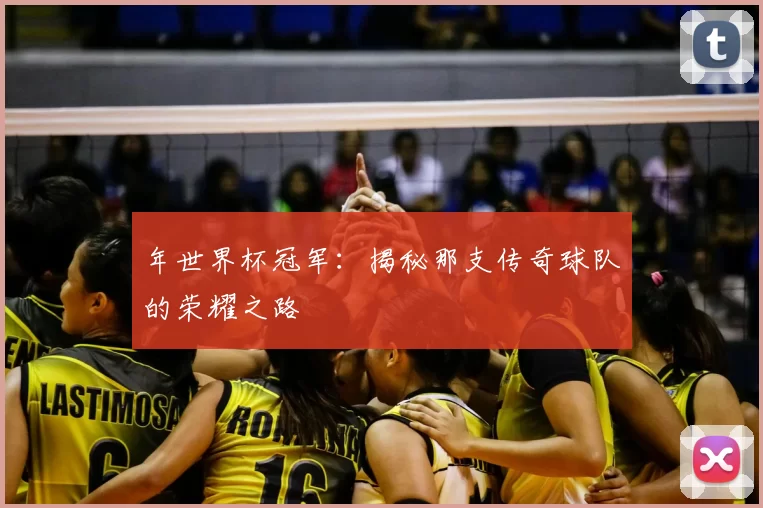 年世界杯冠军：揭秘那支传奇球队的荣耀之路
