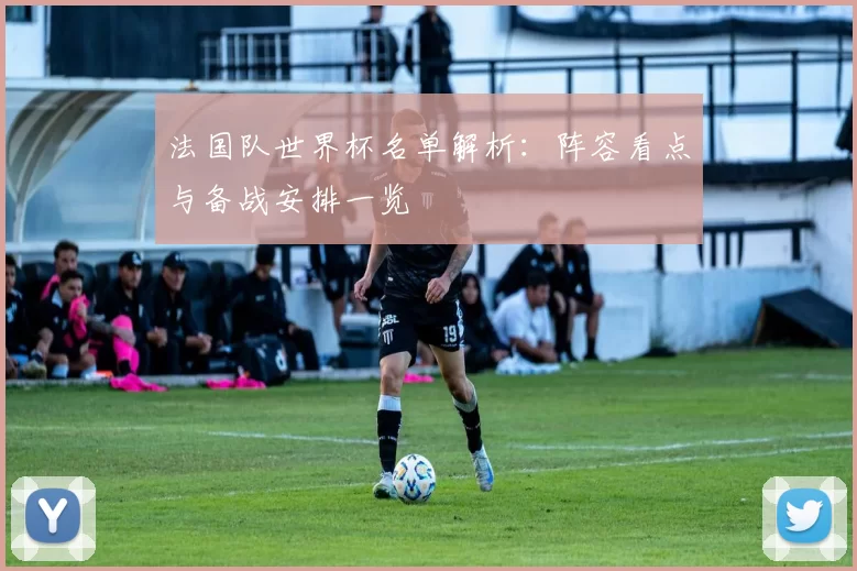 法国队世界杯名单解析：阵容看点与备战安排一览