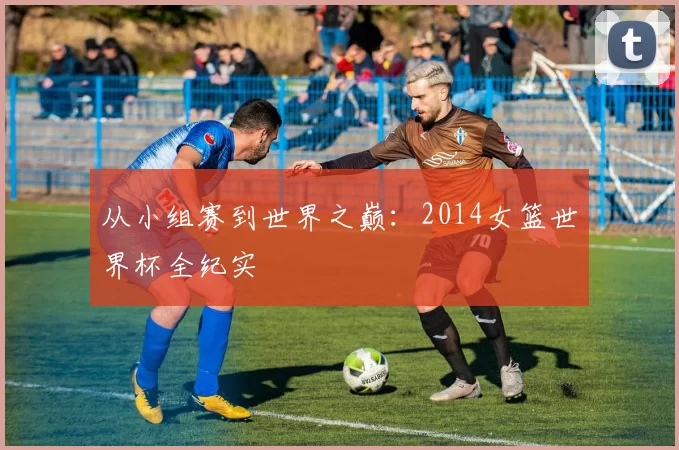 从小组赛到世界之巅：2014女篮世界杯全纪实