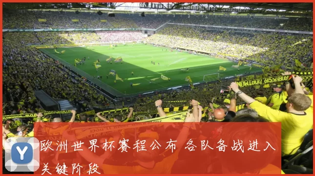 欧洲世界杯赛程公布 各队备战进入关键阶段