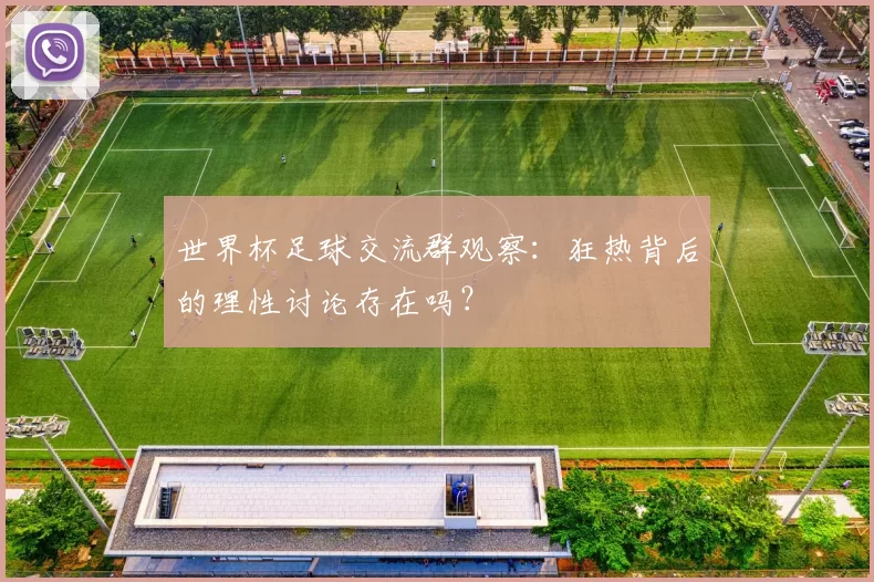 世界杯足球交流群观察：狂热背后的理性讨论存在吗？