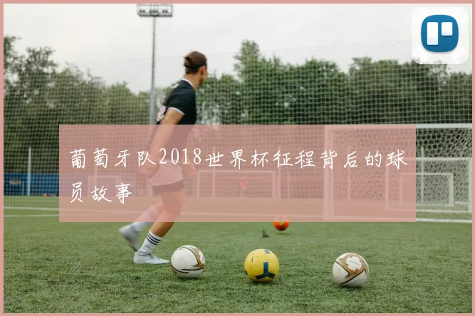 葡萄牙队2018世界杯征程背后的球员故事