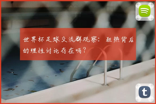世界杯足球交流群观察：狂热背后的理性讨论存在吗？