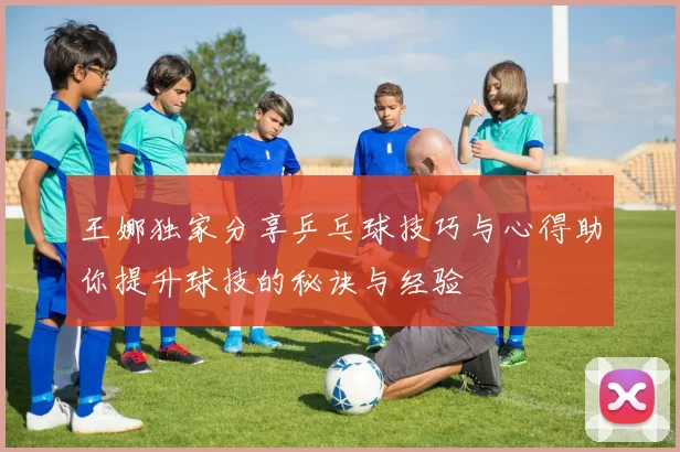 王娜独家分享乒乓球技巧与心得助你提升球技的秘诀与经验