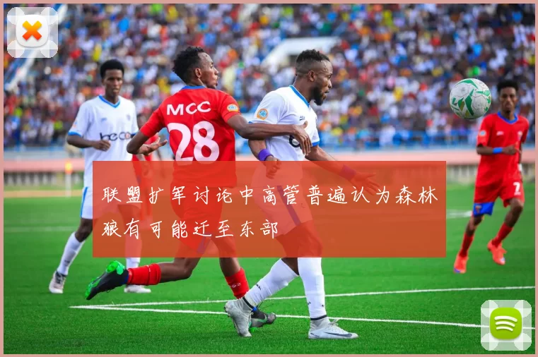 联盟扩军讨论中高管普遍认为森林狼有可能迁至东部