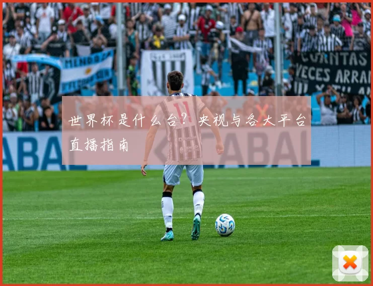 世界杯是什么台？央视与各大平台直播指南