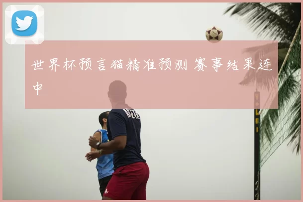世界杯预言猫精准预测 赛事结果连中