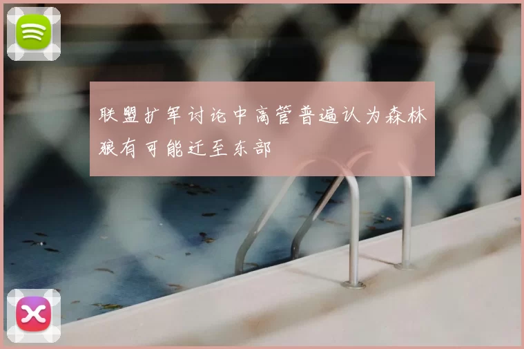 联盟扩军讨论中高管普遍认为森林狼有可能迁至东部