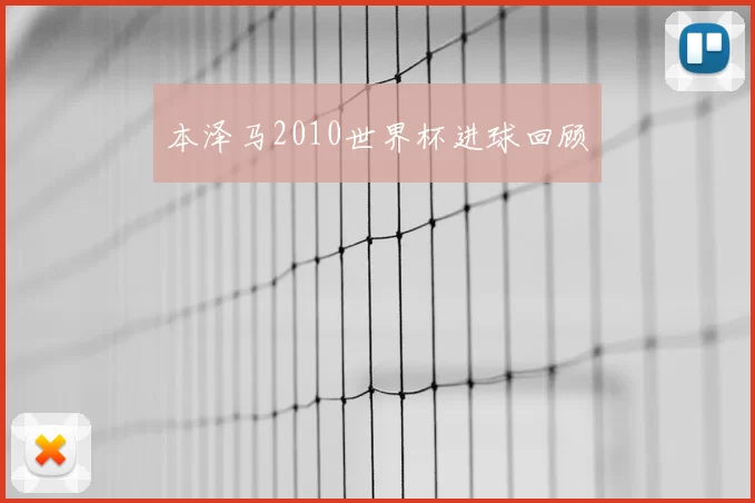 本泽马2010世界杯进球回顾