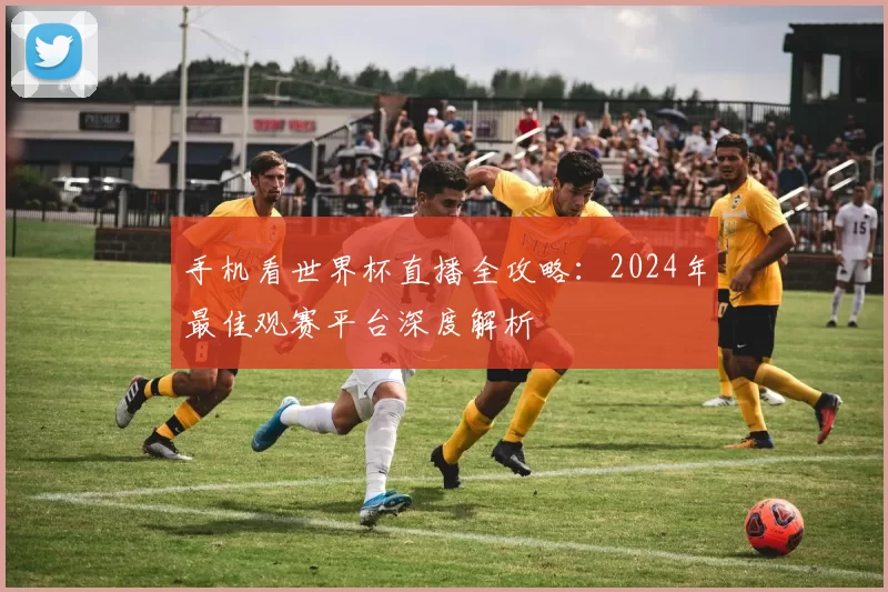 手机看世界杯直播全攻略：2024年最佳观赛平台深度解析